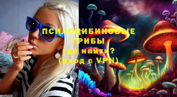 крисы Нягань