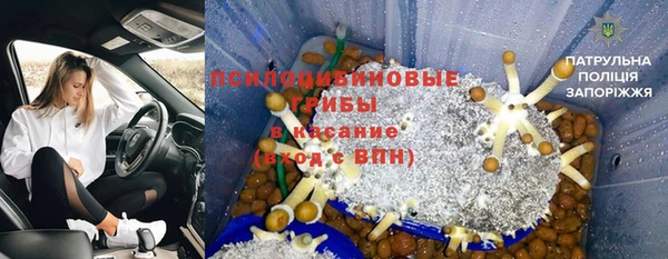 крисы Нягань
