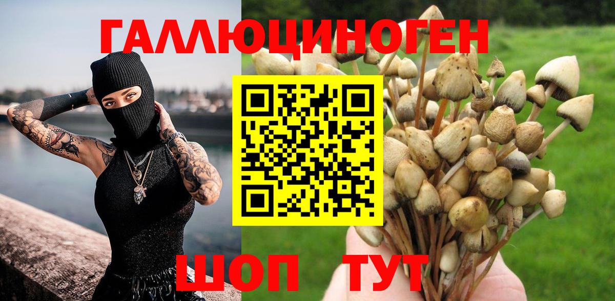 Аксай  Псилоцибиновые грибы Psilocybine cubensis  наркошоп  Вход с VPN 