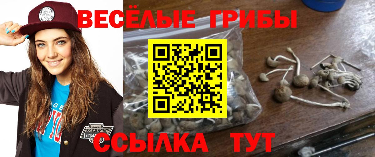 Галлюциногенные грибы MAGIC MUSHROOMS Аксай